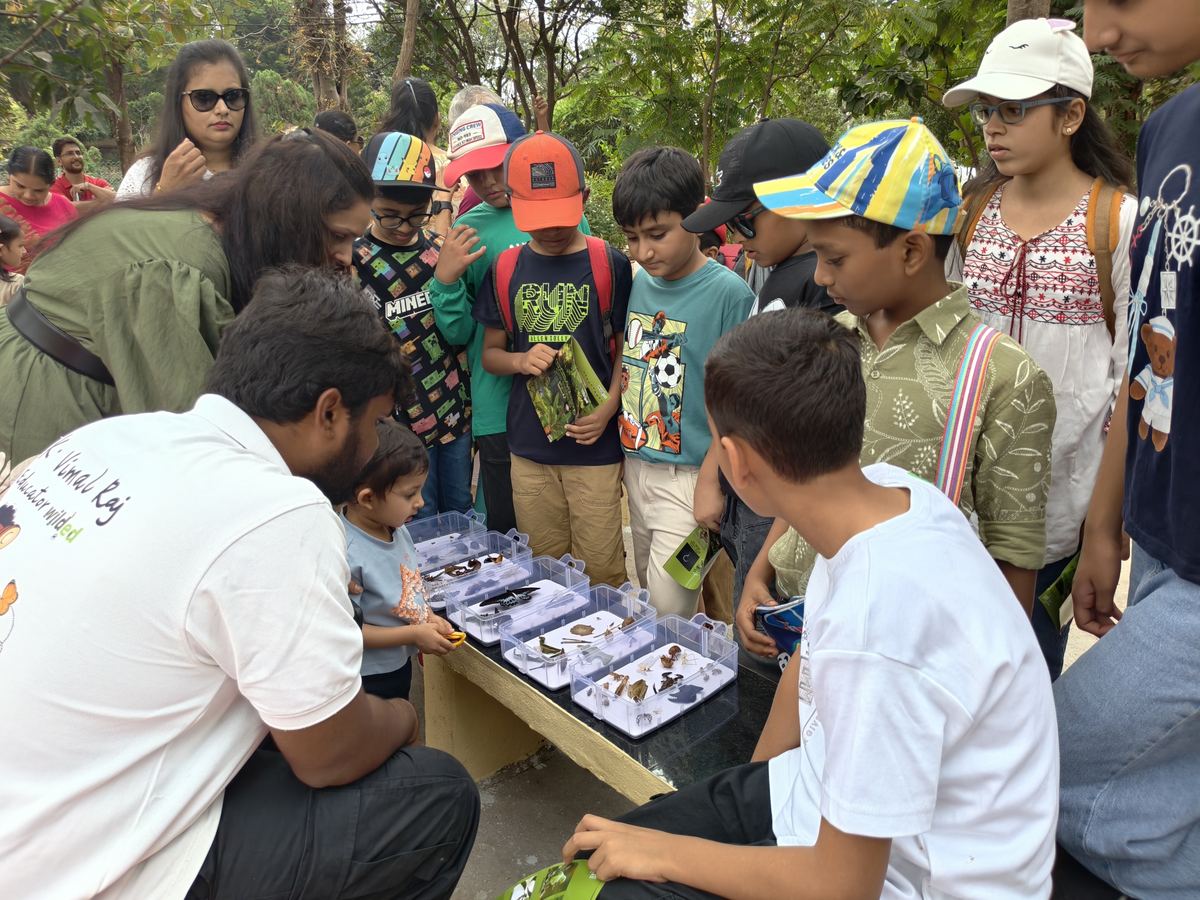 Children in caps gather around specimen trays on a park bench as the educator shows a toddler a butterfly