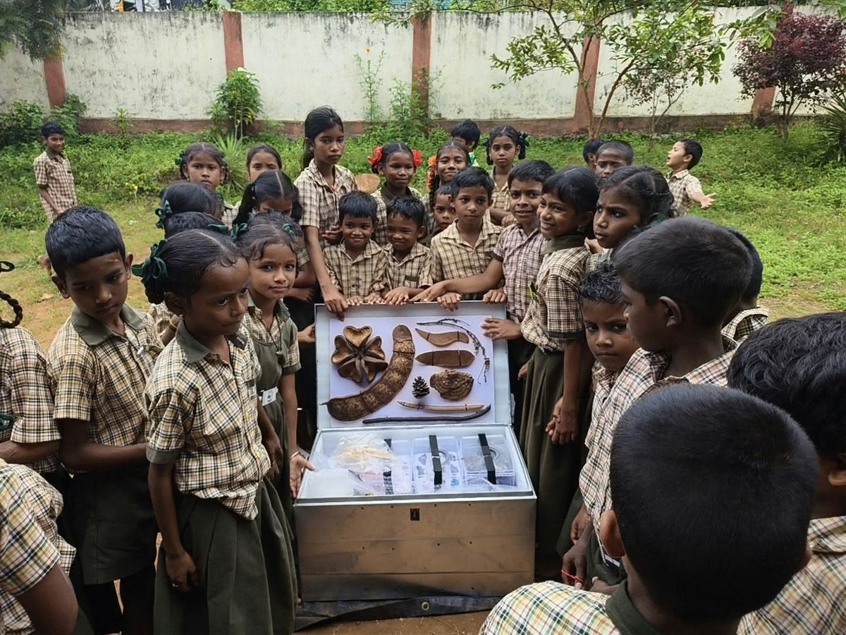 Schoolchildren crowd around the open museum trunk in their school grounds