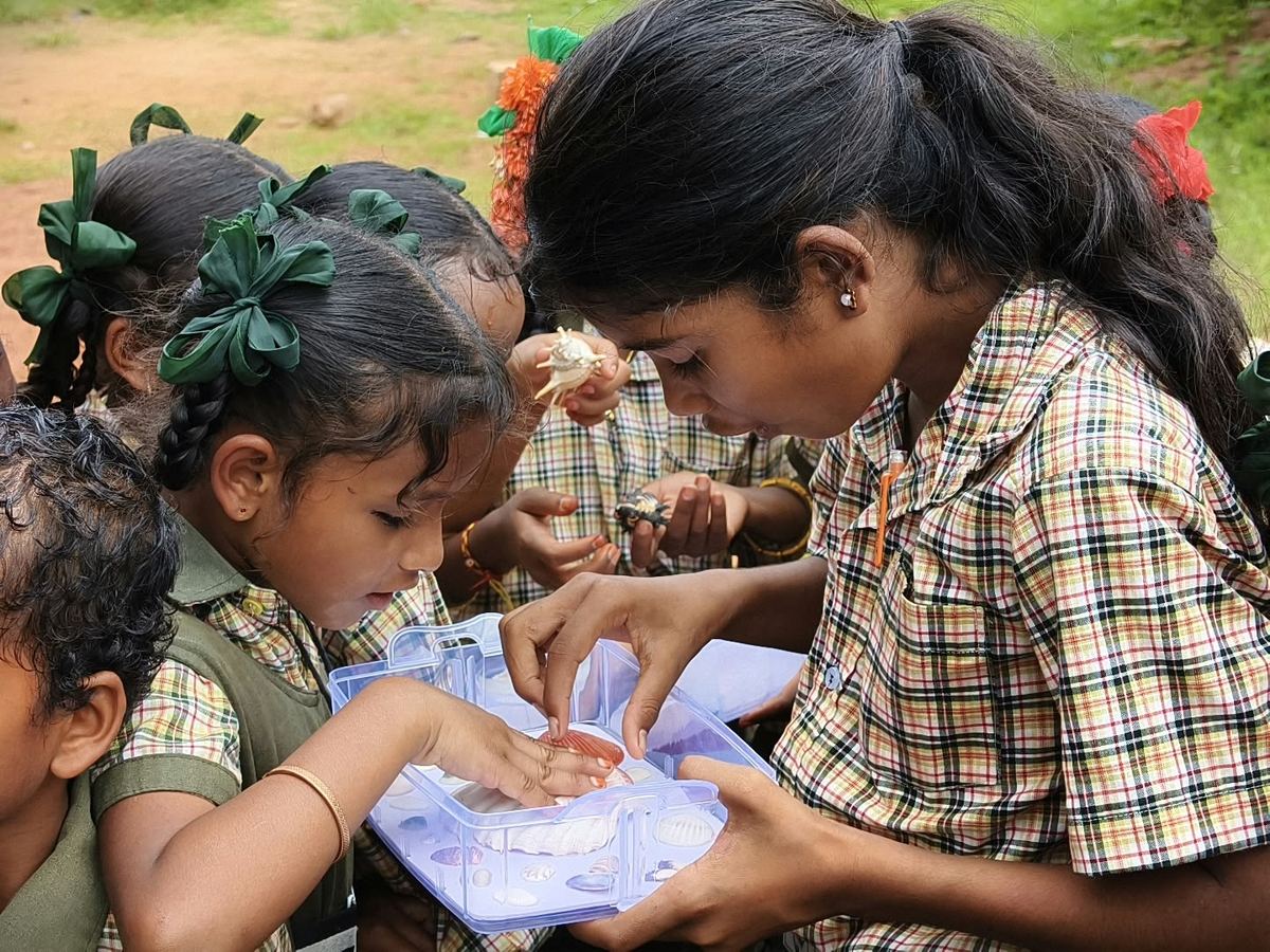 Two schoolgirls look closely at a tray of seashells