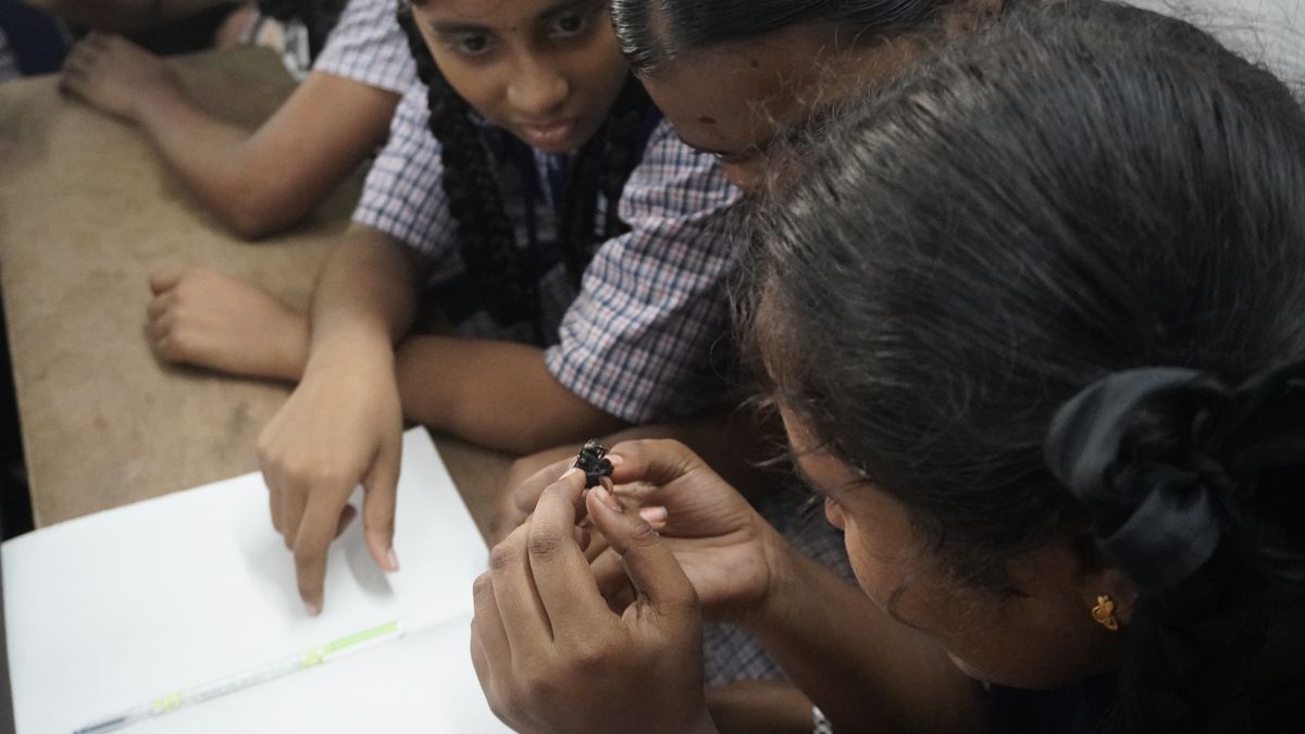 Schoolgirls lean in to look at a beetle held between two fingers