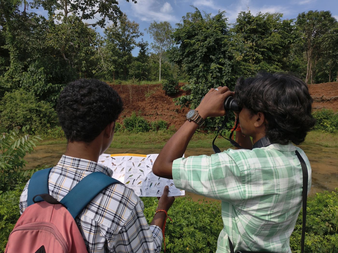 Two boys look up at the trees with binoculars and a bird field guide