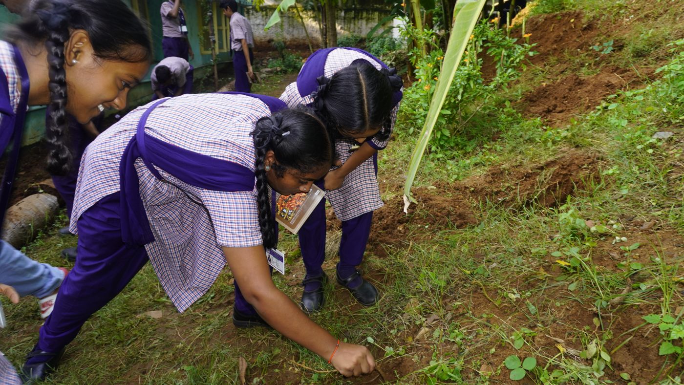 Schoolgirls dig into the soil of their school garden